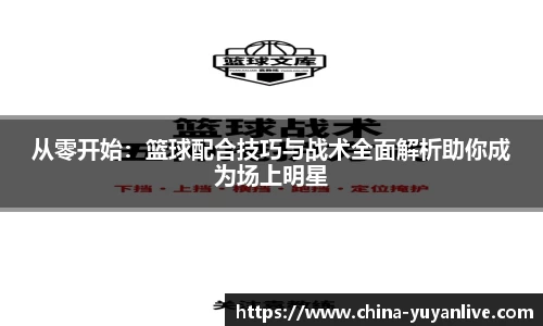 雨燕体育直播官方网站